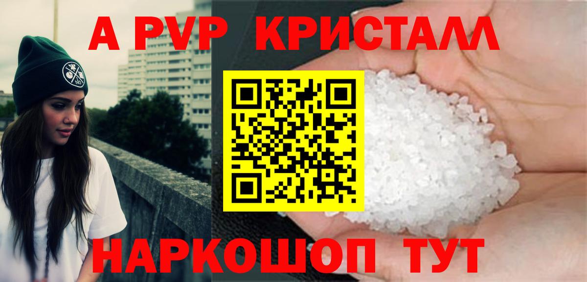 Alfa_PVP СК Грозный